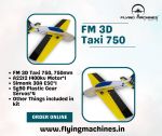 FM 3D Taxi 750 (1).jpg