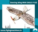 Dancing Wing MINI EAGLE-P E15.jpg