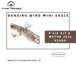 Dancing Wing MINI EAGLE.jpg