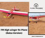 FM High winger Rc Plane (Balsa Version) (1).jpg
