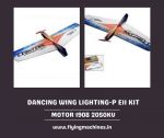 Dancing Wing Lighting-P E11 Kit.jpg