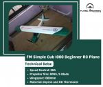 FM Simple Cub 1000 Beginner RC Plane.jpg